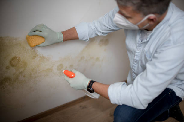 Best Crawl Space Mold Removal  in Indian Head, MD